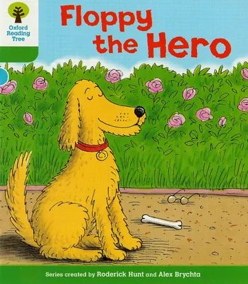 Floppy the Hero 표지