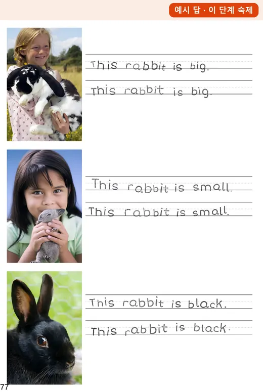 LA 6.1 숙제 Rabbits 예시 답