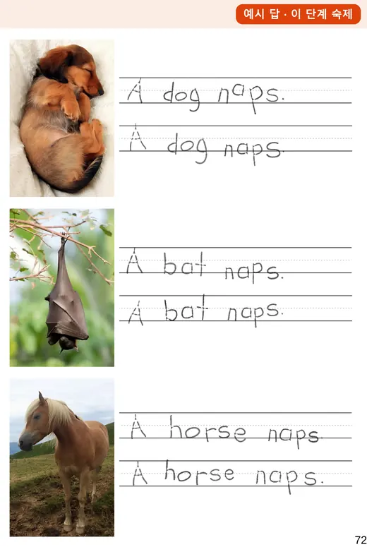 LA P 숙제 Nap Time 예시 답